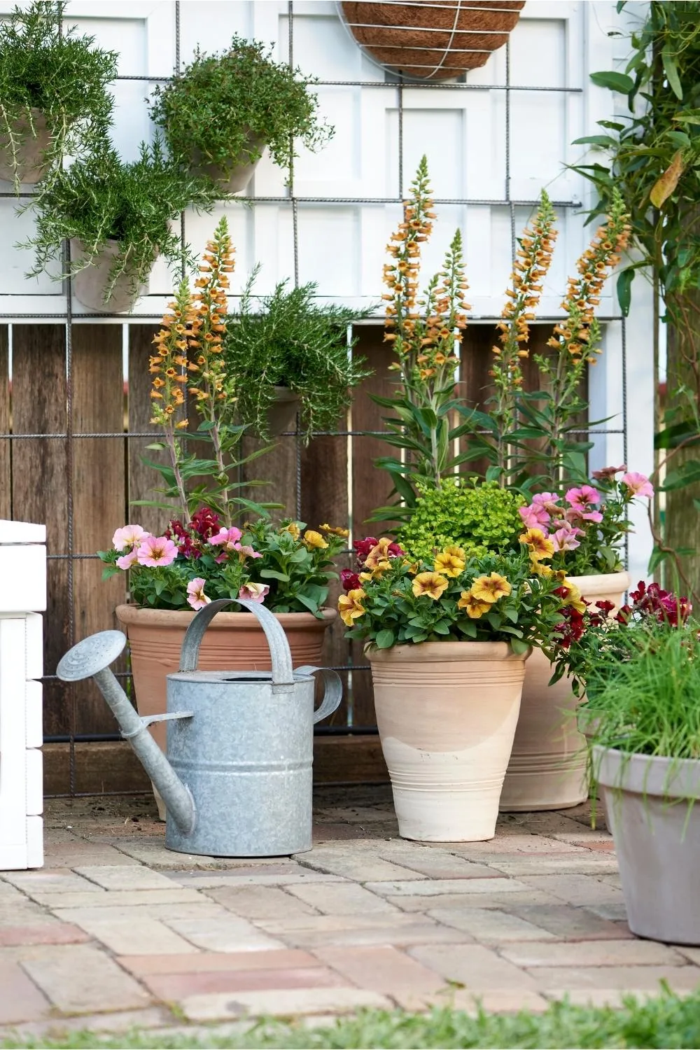 To make your pots lighter to move, fill them to about 30cm from the top with polystyrene chips, cover with horticultural fleece, then add potting mix.