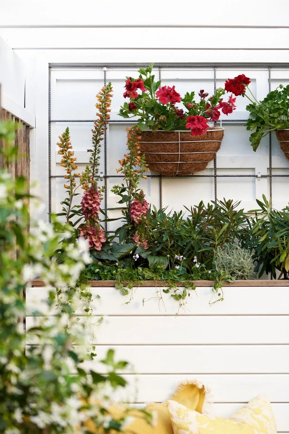 pergola-perfection