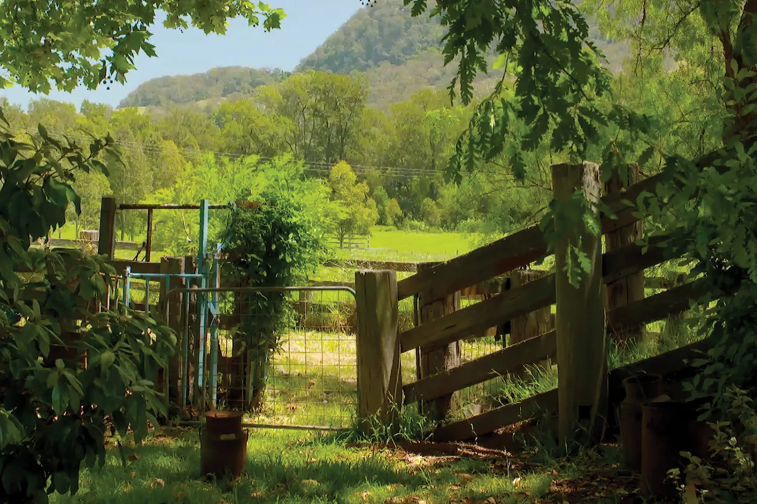 Johanna visits Broger’s End