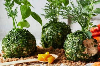 Kokedama seafood platter