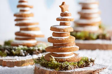 Wonky gingerbread trees