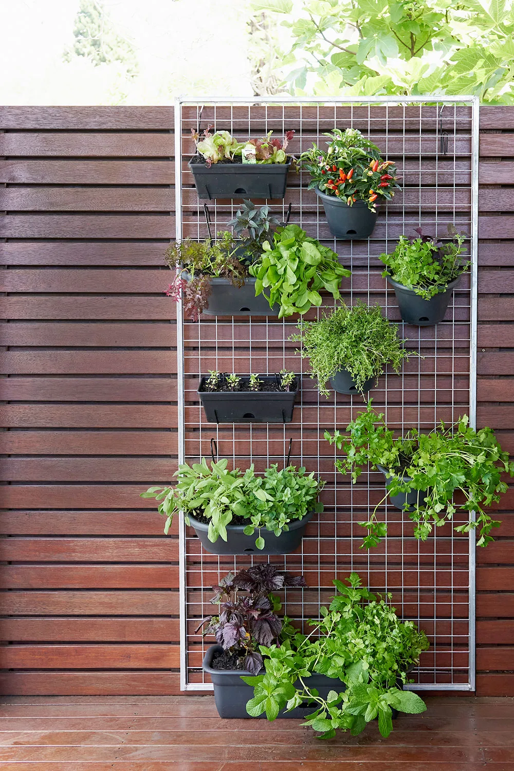 Vertical herb garden