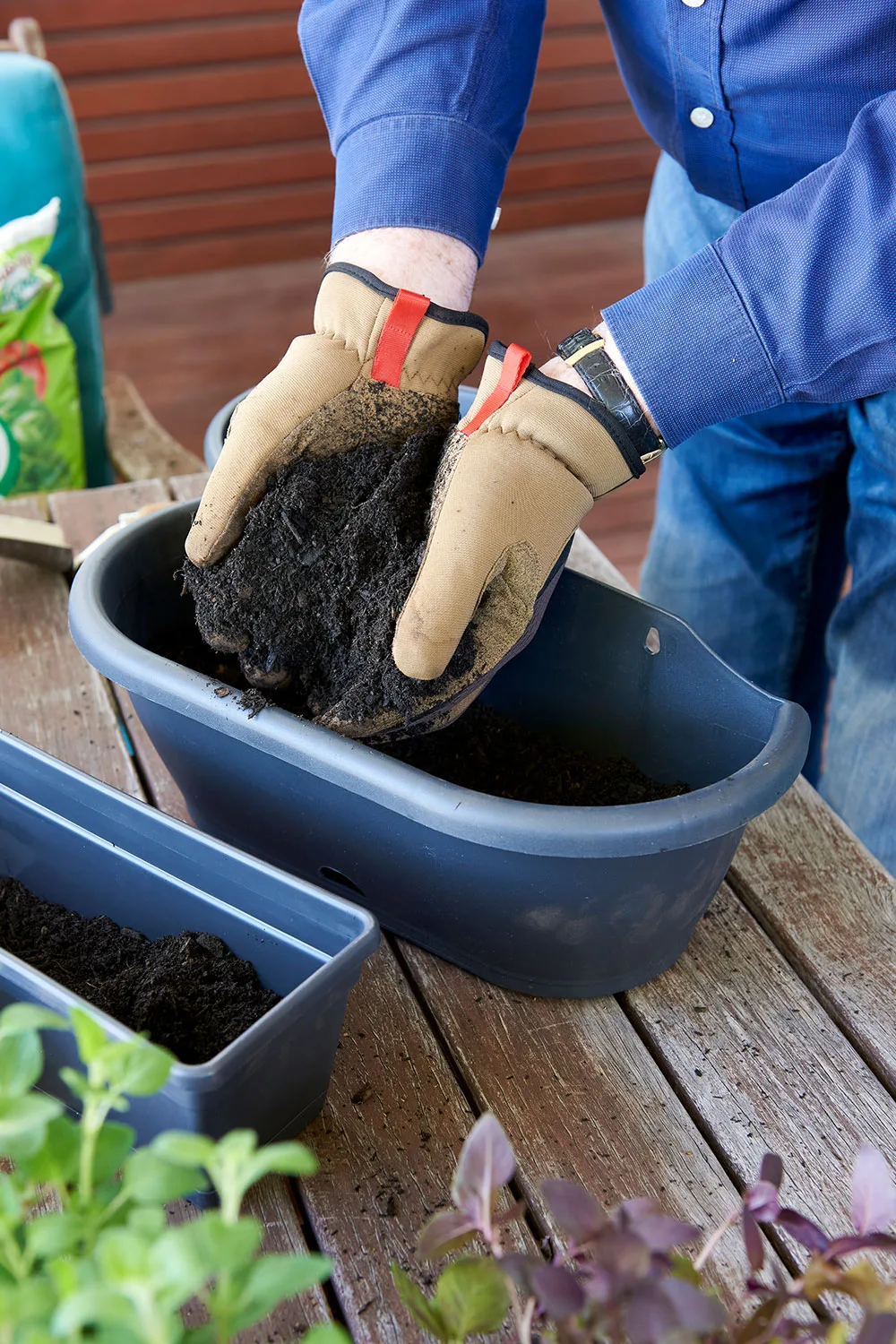 Fill pots with soil