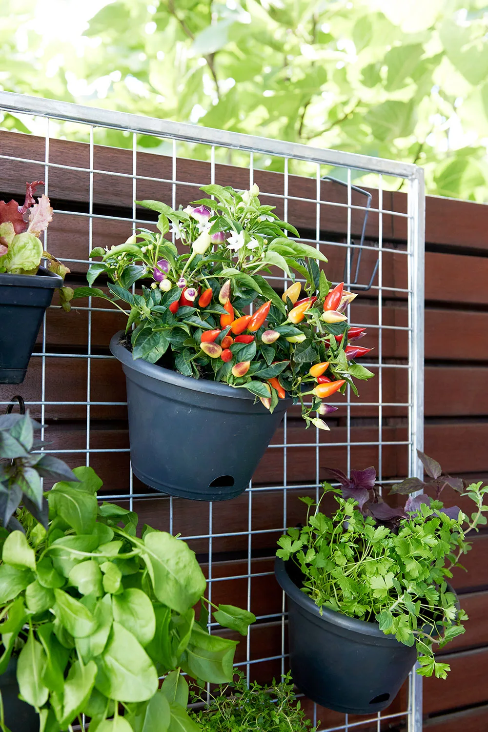 Vertical herb garden
