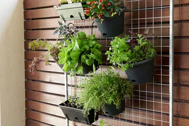 How to make a vertical herb garden