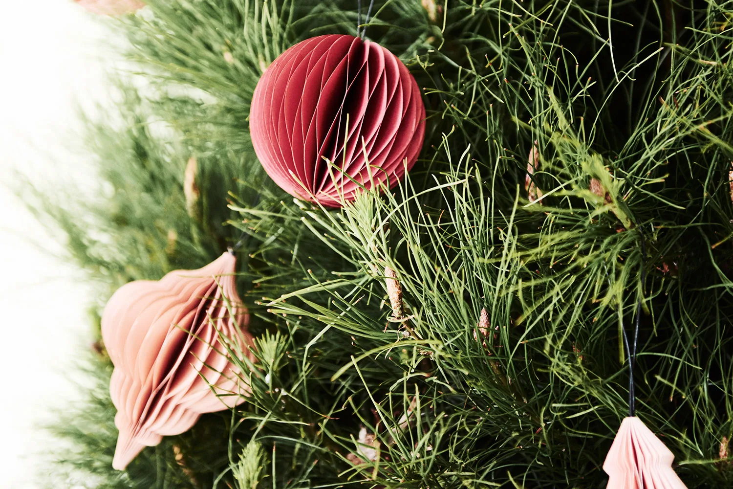 How to clean up Christmas tree needles