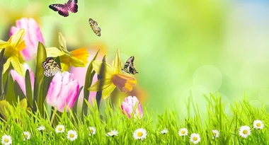 5 brilliant plant pairings