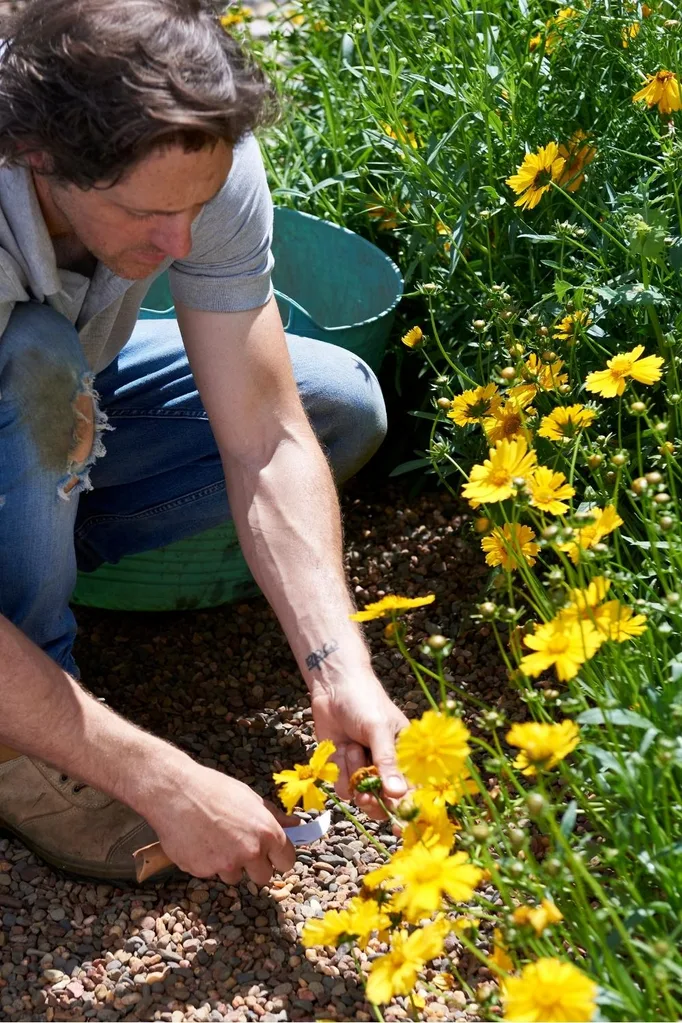 Cutting flowers for indoors means more outdoors.