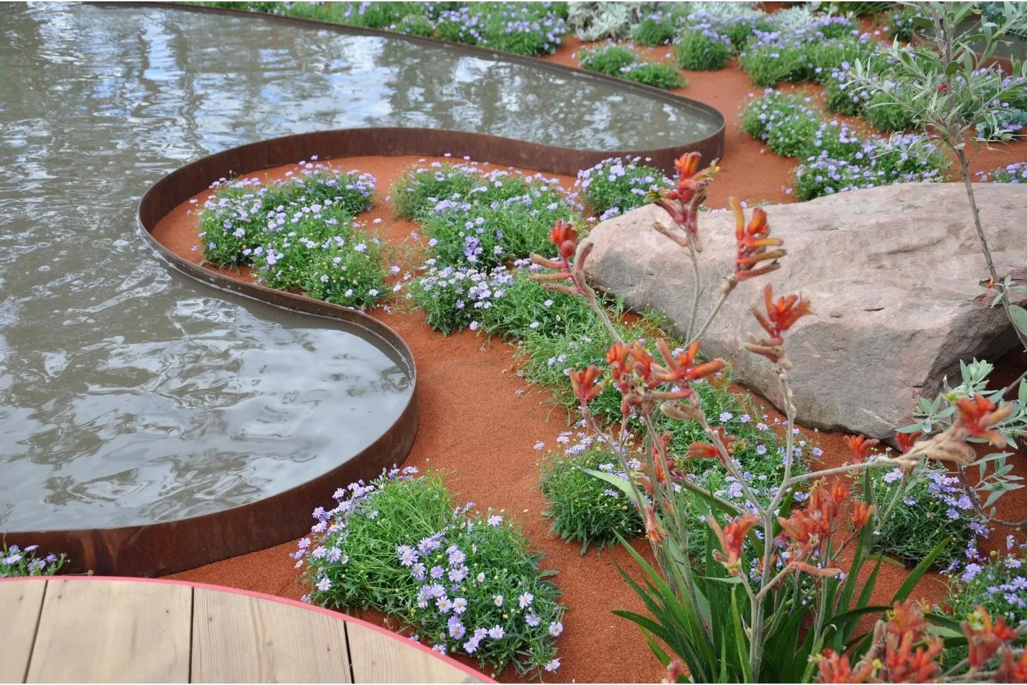 Bush garden design styles with curved corten shallow pond with swan river daisies and kanagroo paw on red aussie soil