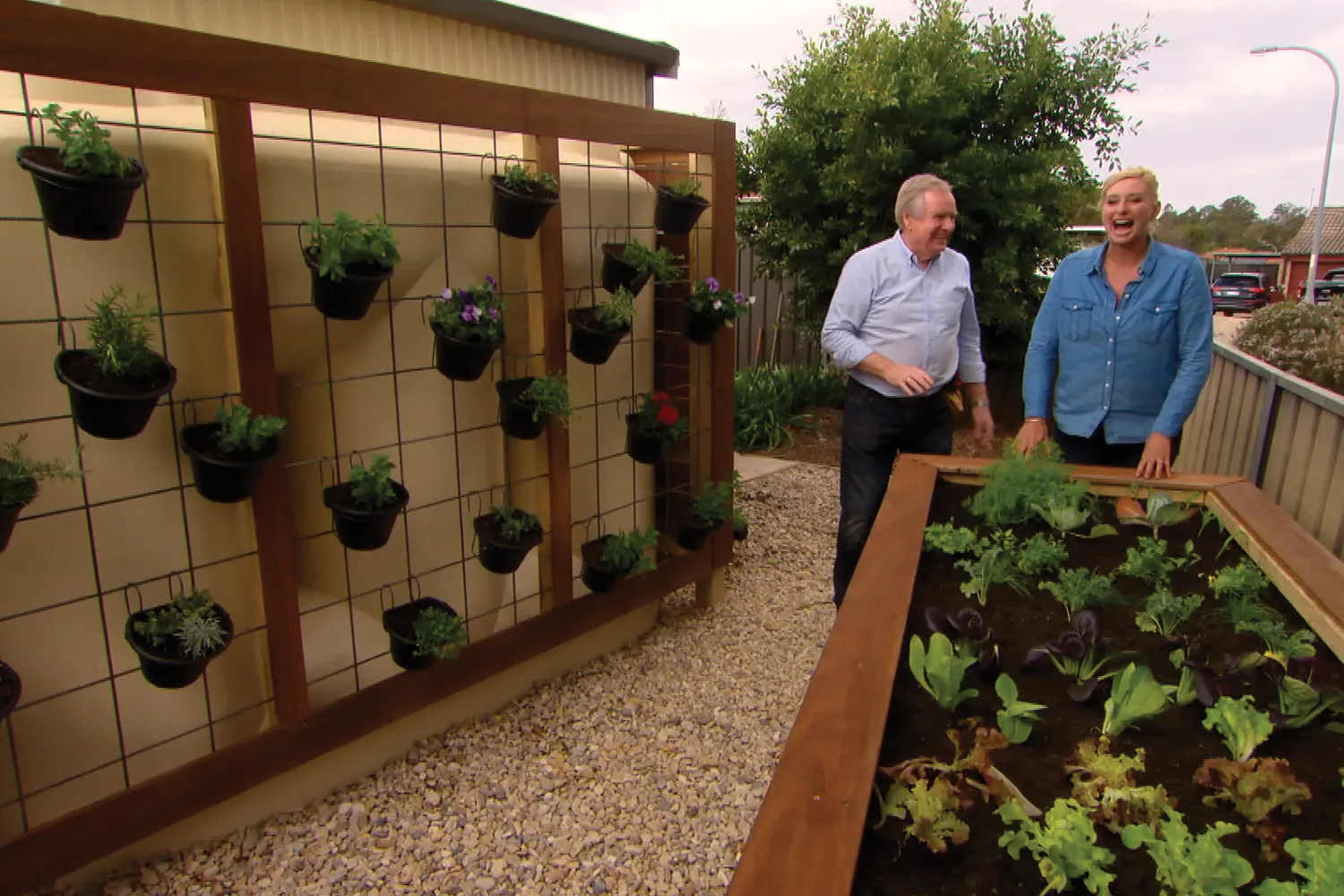 How to create a small water-wise vegetable patch