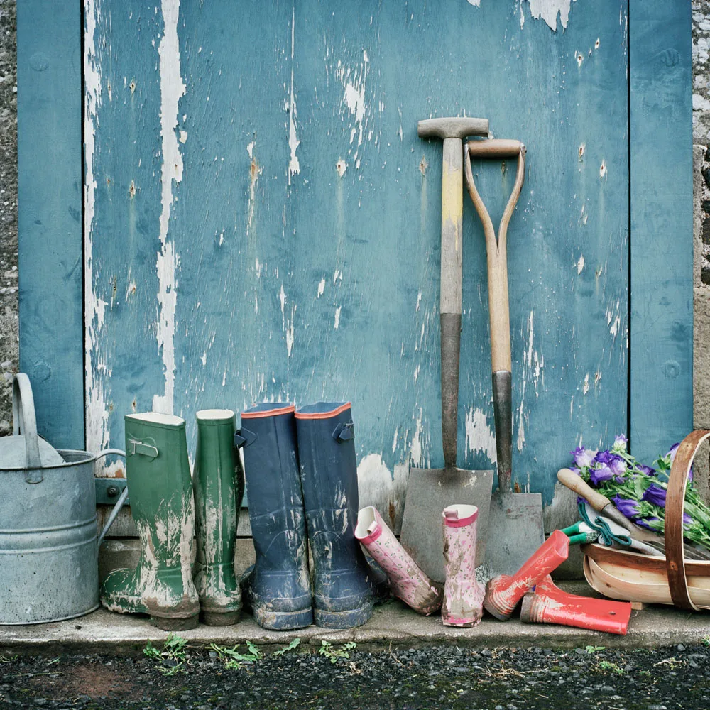 How to revive your lawn | Better Homes & Gardens Australia