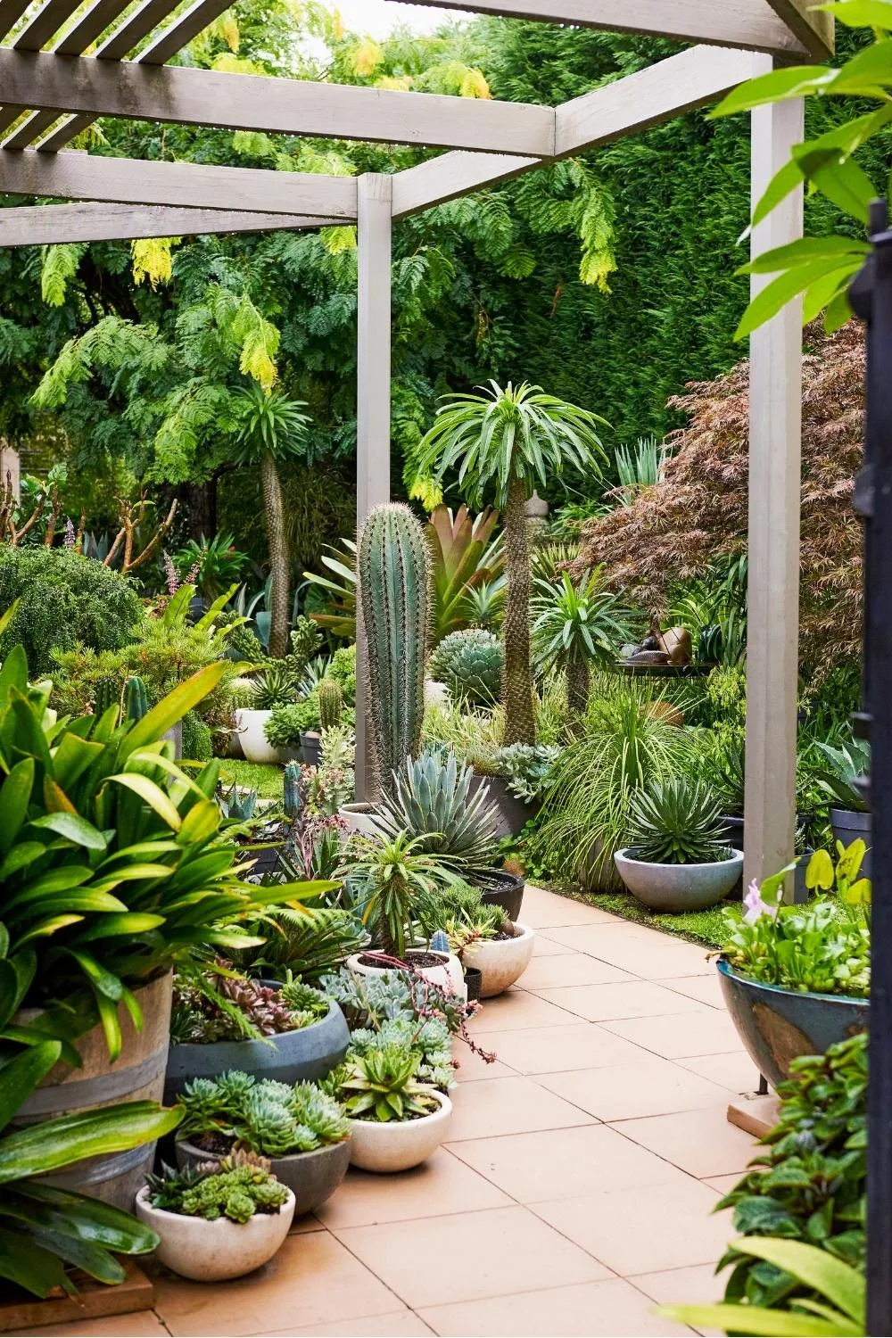 The key to successful container gardening is to include a thriller (a tall statement plant), a spiller (that tumbles over the pot) and fillers. And when you cluster your containers, as here, you can have several thrillers on the go at once!