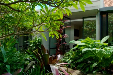 Charlie visits a clever inner-city garden in Sydney