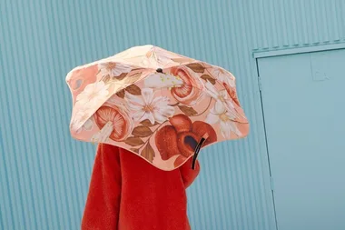 We’ve found the strongest umbrella in the world