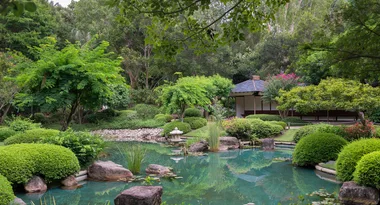 How to create a Japanese garden
