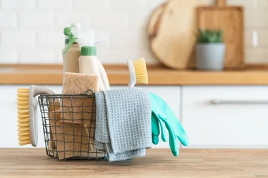 The best mould removal products