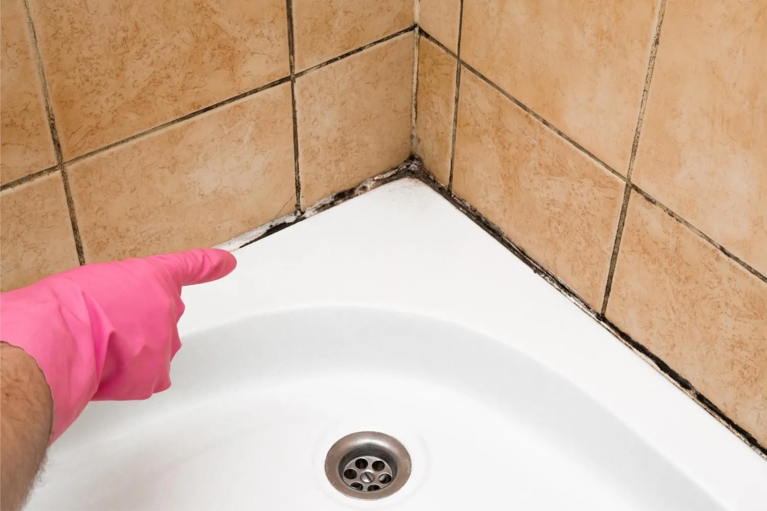 How to Remove Mould and Mildew From Bathrooms