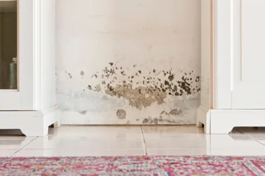 How to remove mould