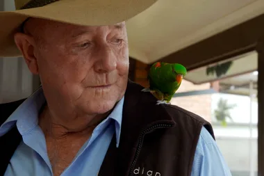 Dr Harry helps a biting pet lorikeet