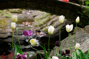 Graham visits Ewanrigg Garden