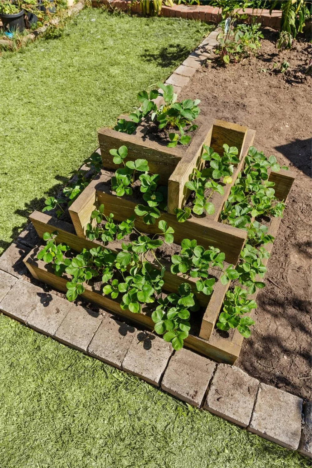 Tiered boxes
