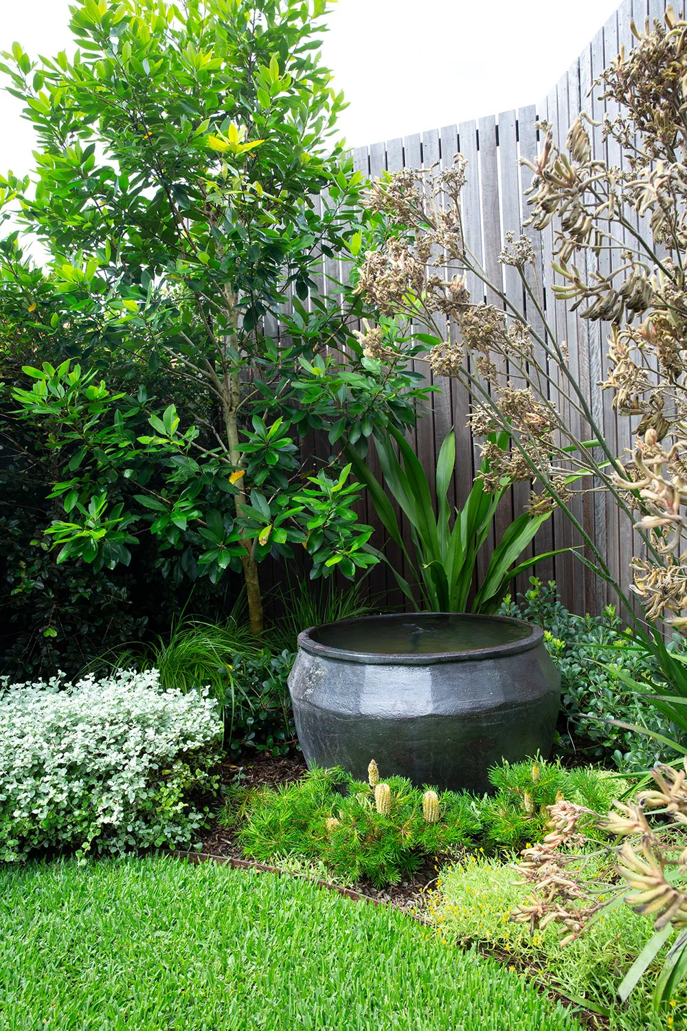 Native cottage garden with large urn bowl filled with water, lawn and plants edging around it.