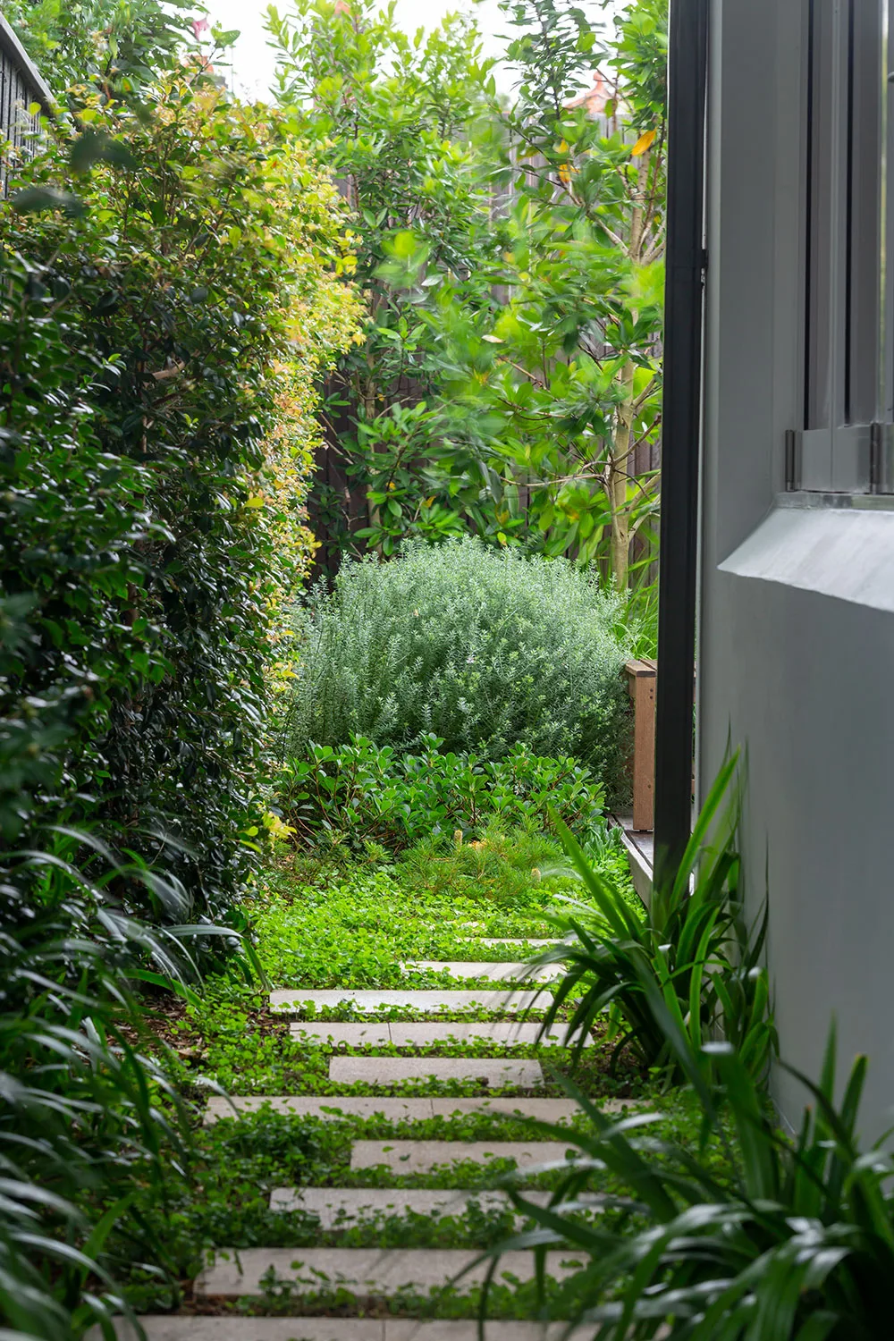 How to create your own native cottage garden