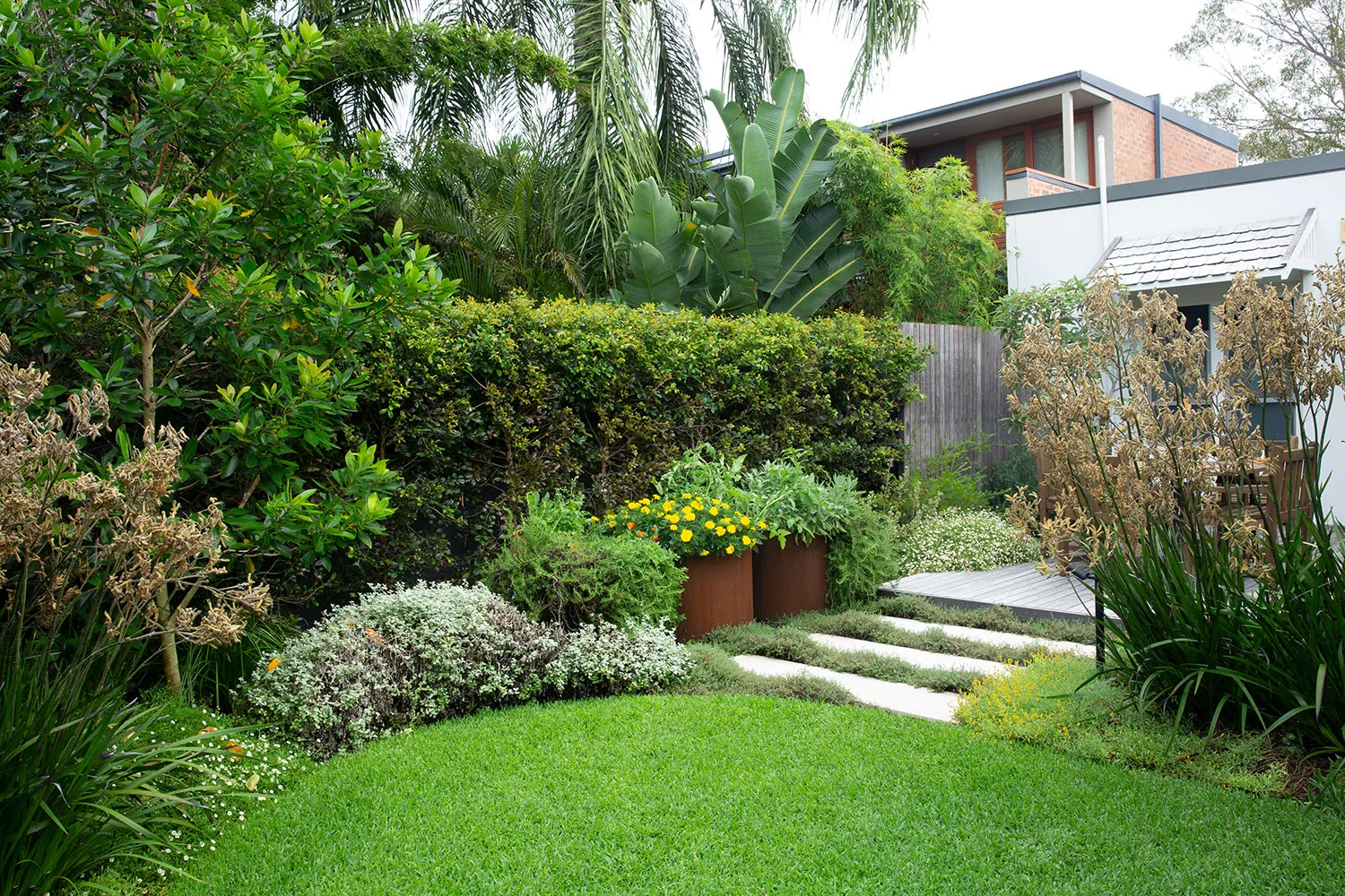 How to create an Australian native cottage garden