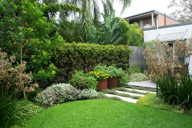 How to create an Australian native cottage garden