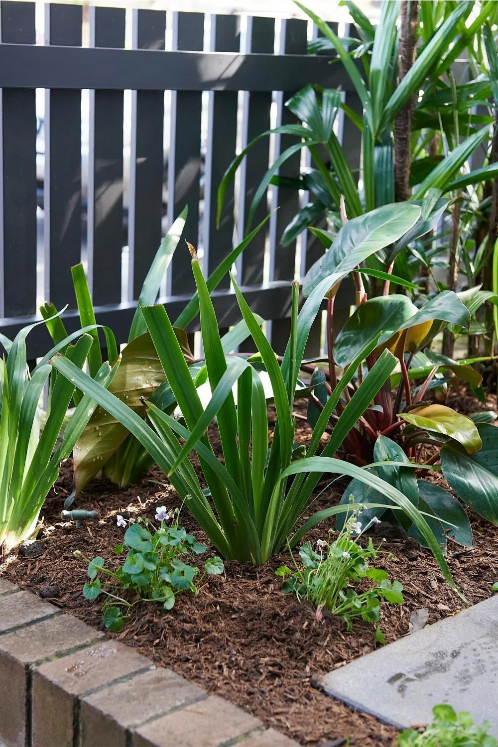 How to fix a problem patch in the garden
