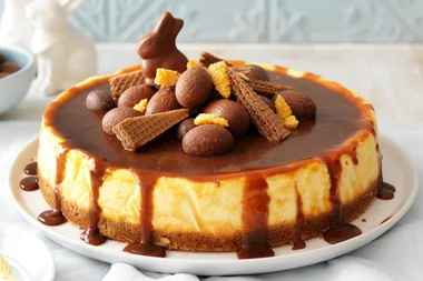 Easter baked cheesecake with choc-caramel sauce