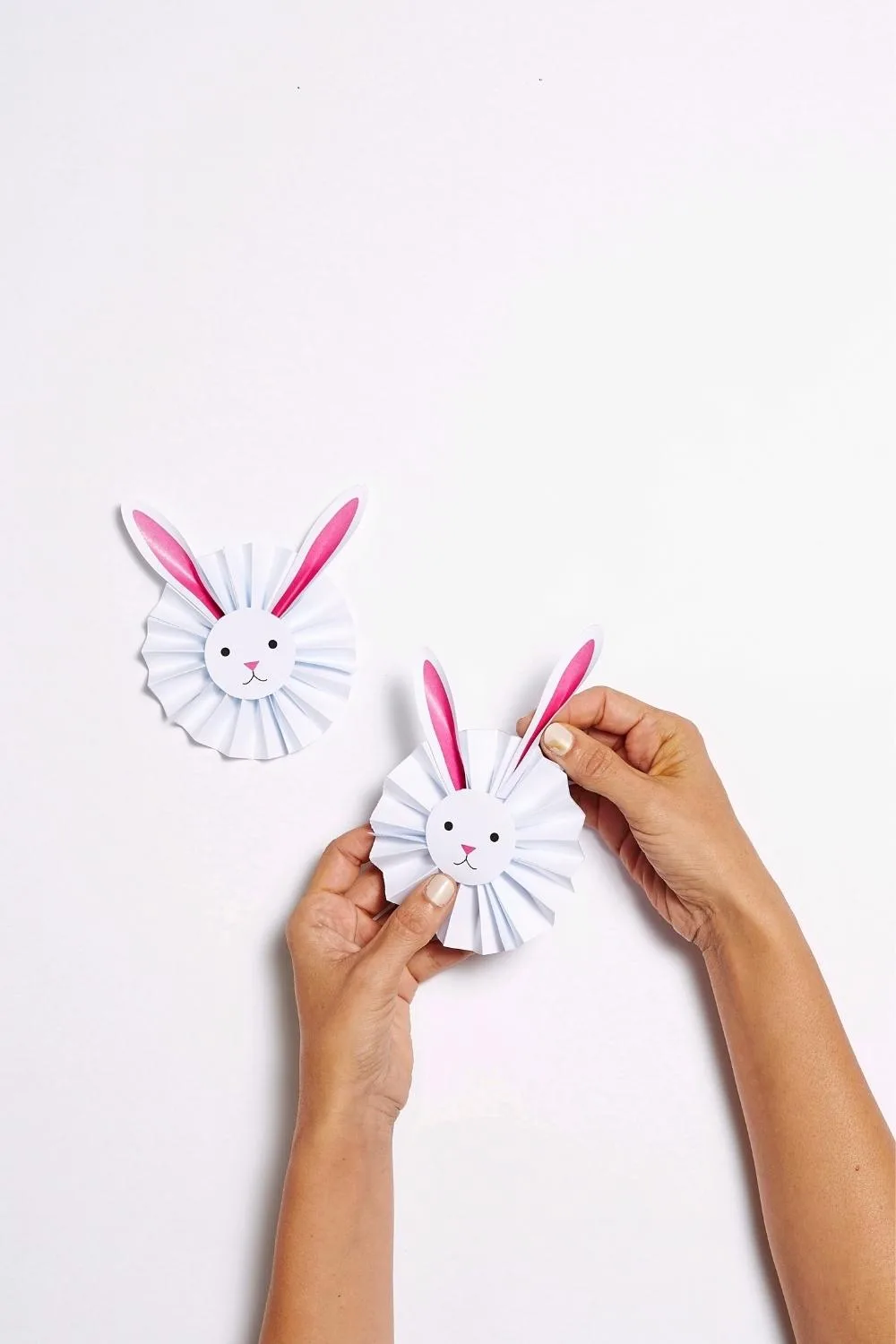 Bunny rosettes