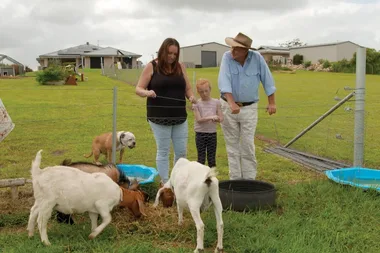 Dr Harry helps a family host farm animals