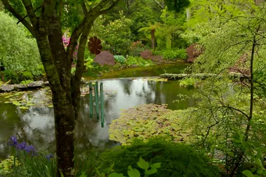 Graham visits Windyridge garden