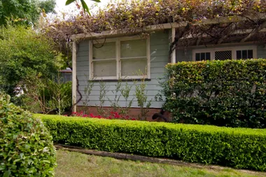 How to clip a hedge