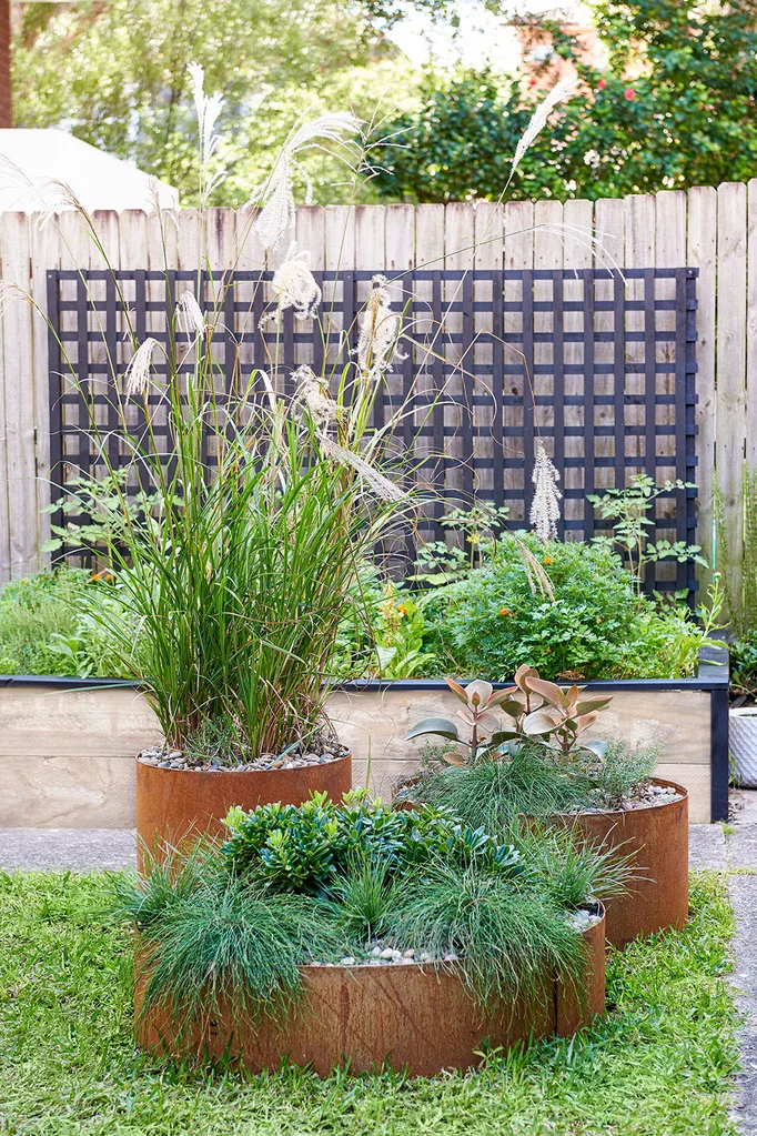 Steel cordon garden beds