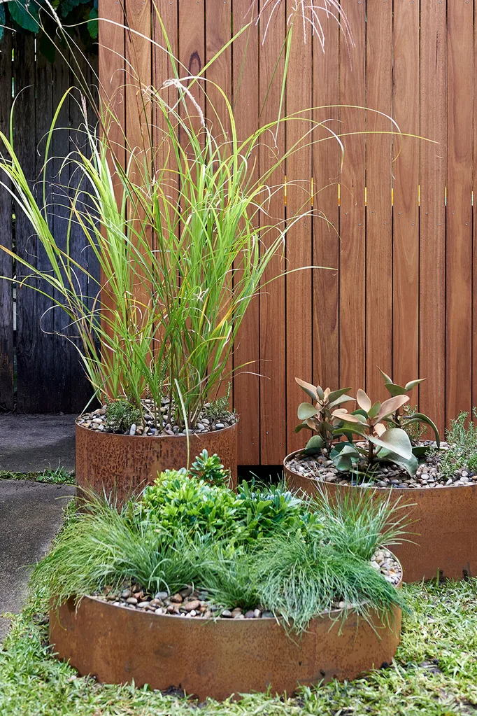 Garden beds