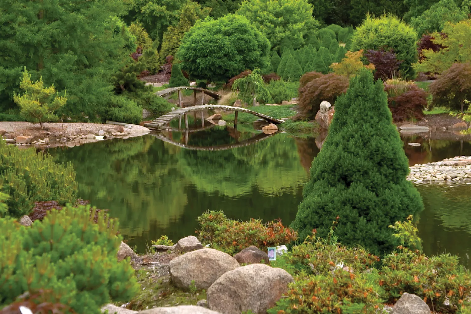 Graham visits Gory’u Japanese Gardens