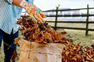Charlie’s top gardening tips for autumn