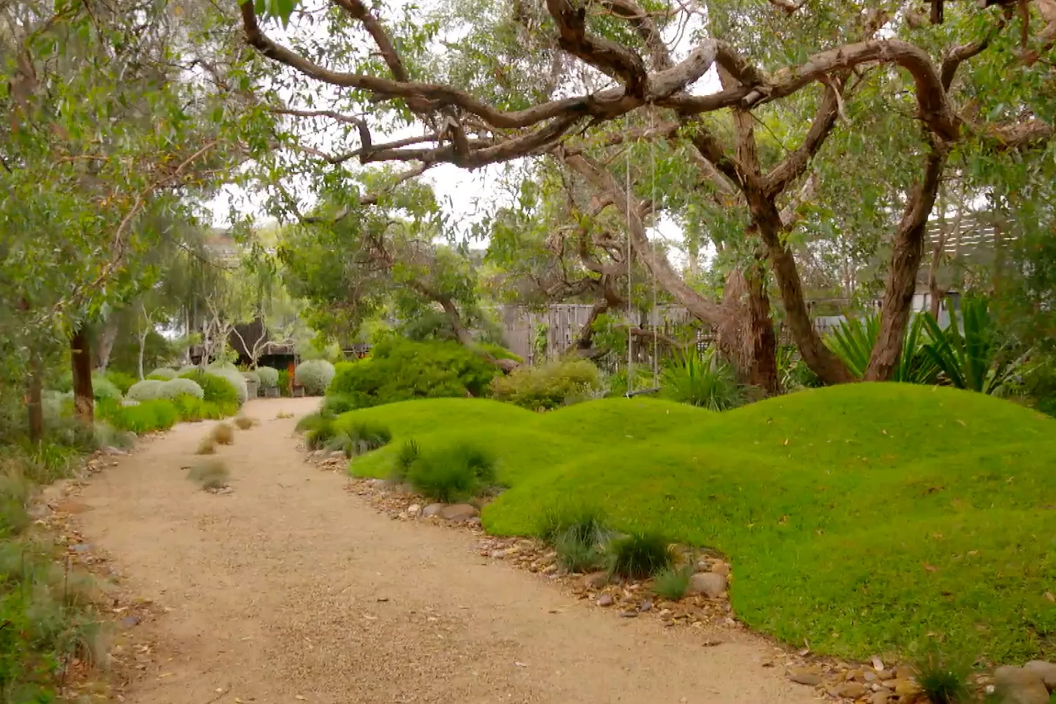 Charlie visits landscape designer Peter Shaw’s garden