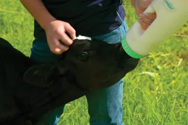 Dr Harry visits John’s River Dairy Farm