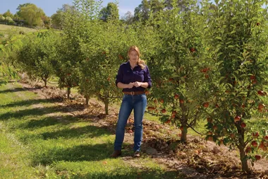 How to grow your own fruit