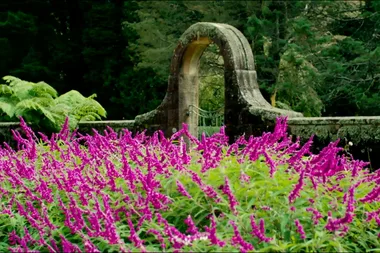 Graham visits Breenhold Gardens