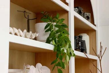 How to create the perfect shelfie