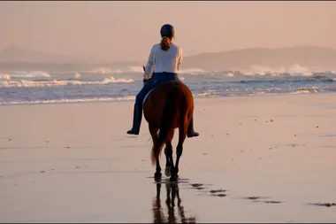 My horse Willow: Rachel’s story