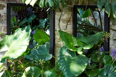 How to add dimension to your garden with mirrors