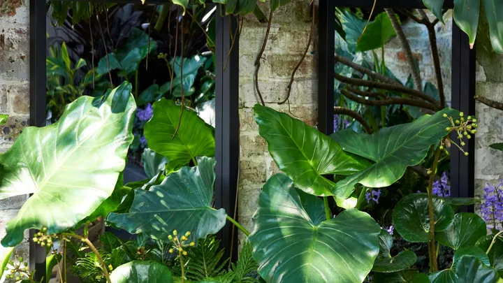 How to add dimension to your garden with mirrors