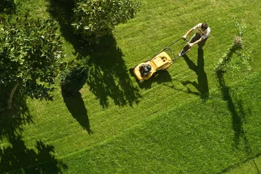 How to choose the best mower for your winter lawn