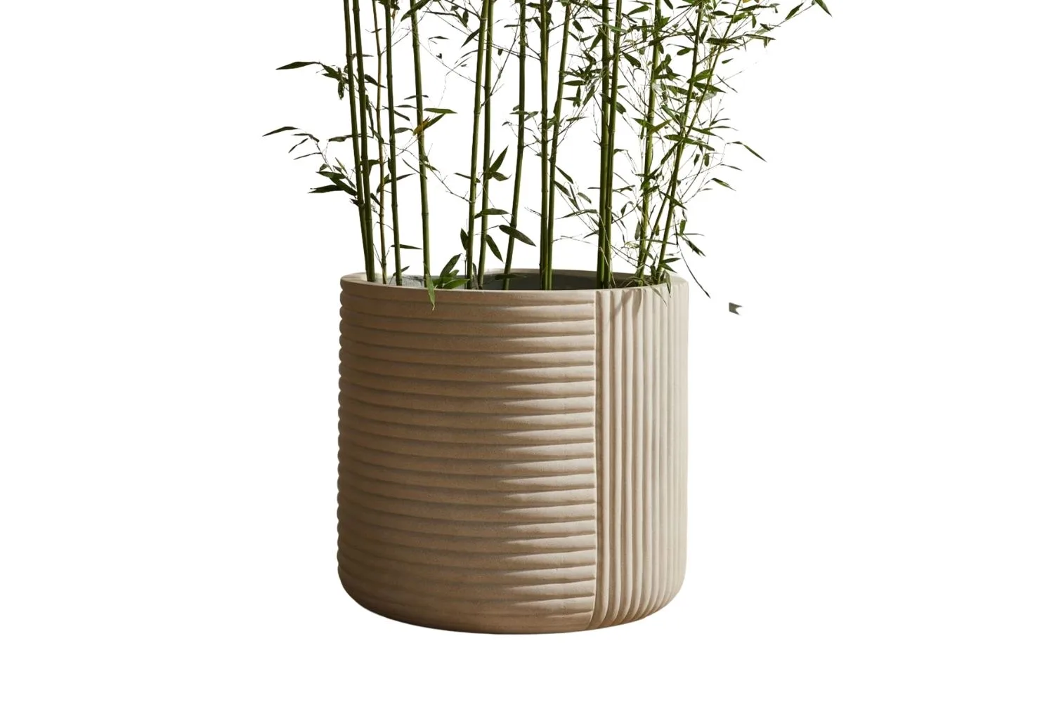 large-white-pot-cecilia-planter-west-elm