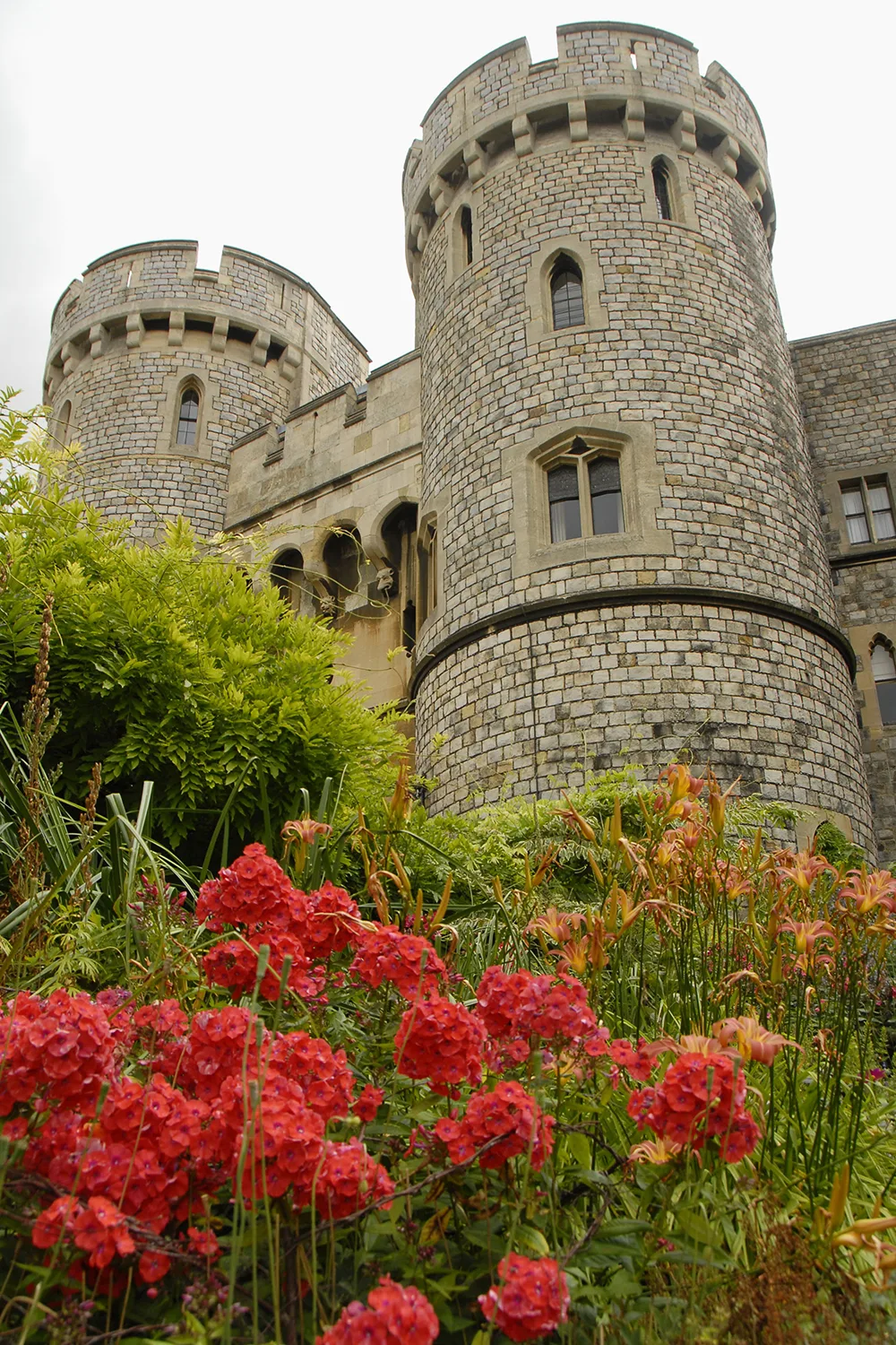 flowers in the Queen's private gardens